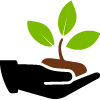 Tress Planted