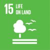 15-life-land 15-life-land