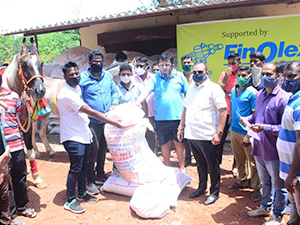 Animal NGO rescuing horse as part of cow welfare and animal care efforts