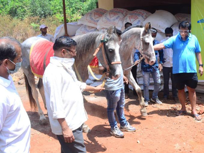 Animal welfare NGO volunteers promoting horse care and animal rights in India