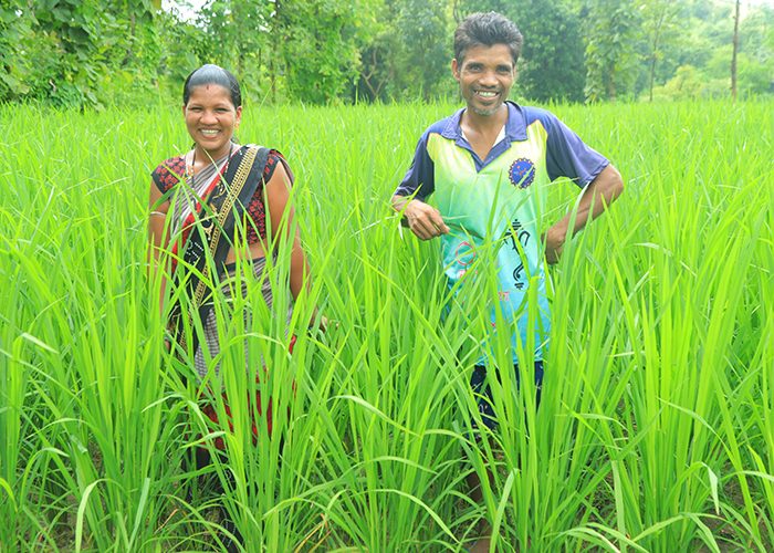 preserving-river-img6